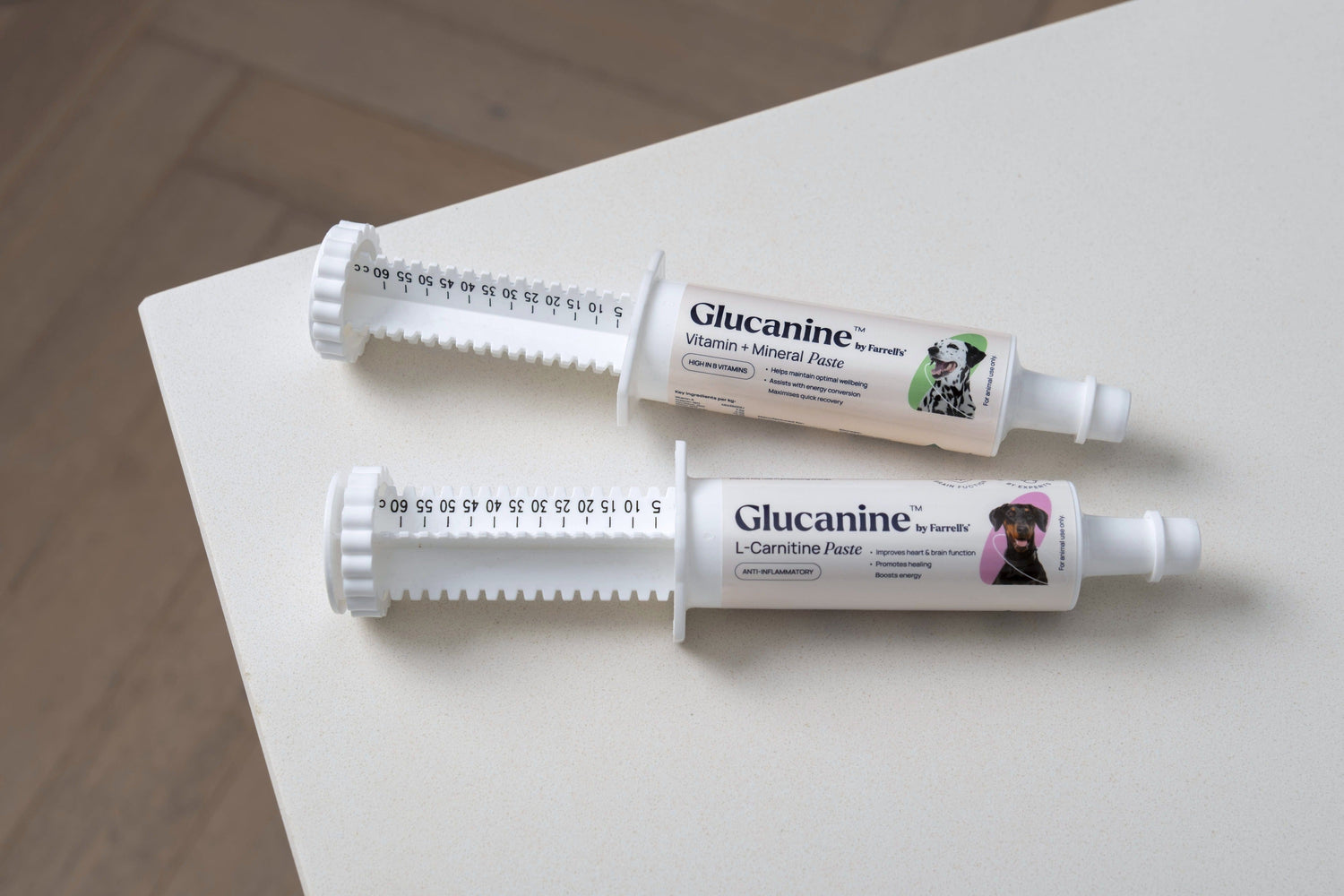 L-Carnitine Paste for Dogs: Boost Energy & Wellness Naturally