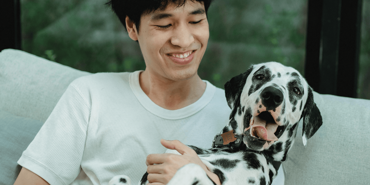 Daily Routines for a Healthier, Happier Dog