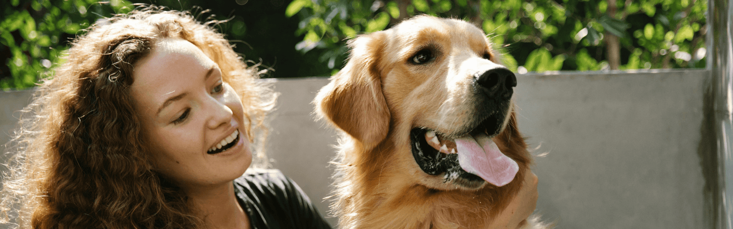 Understanding Degenerative Joint Disease in Dogs