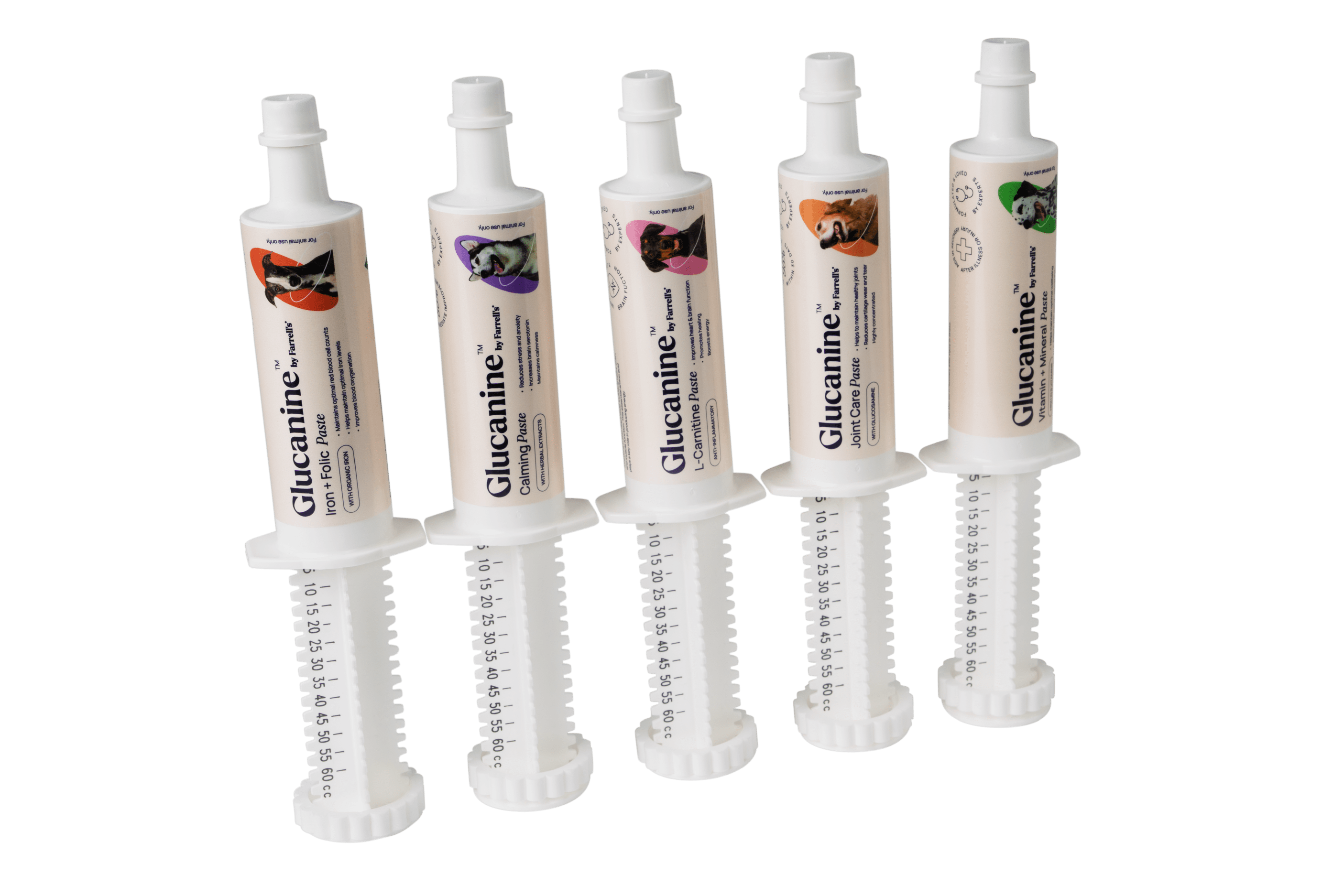Essential Dog Supplement Bundle
