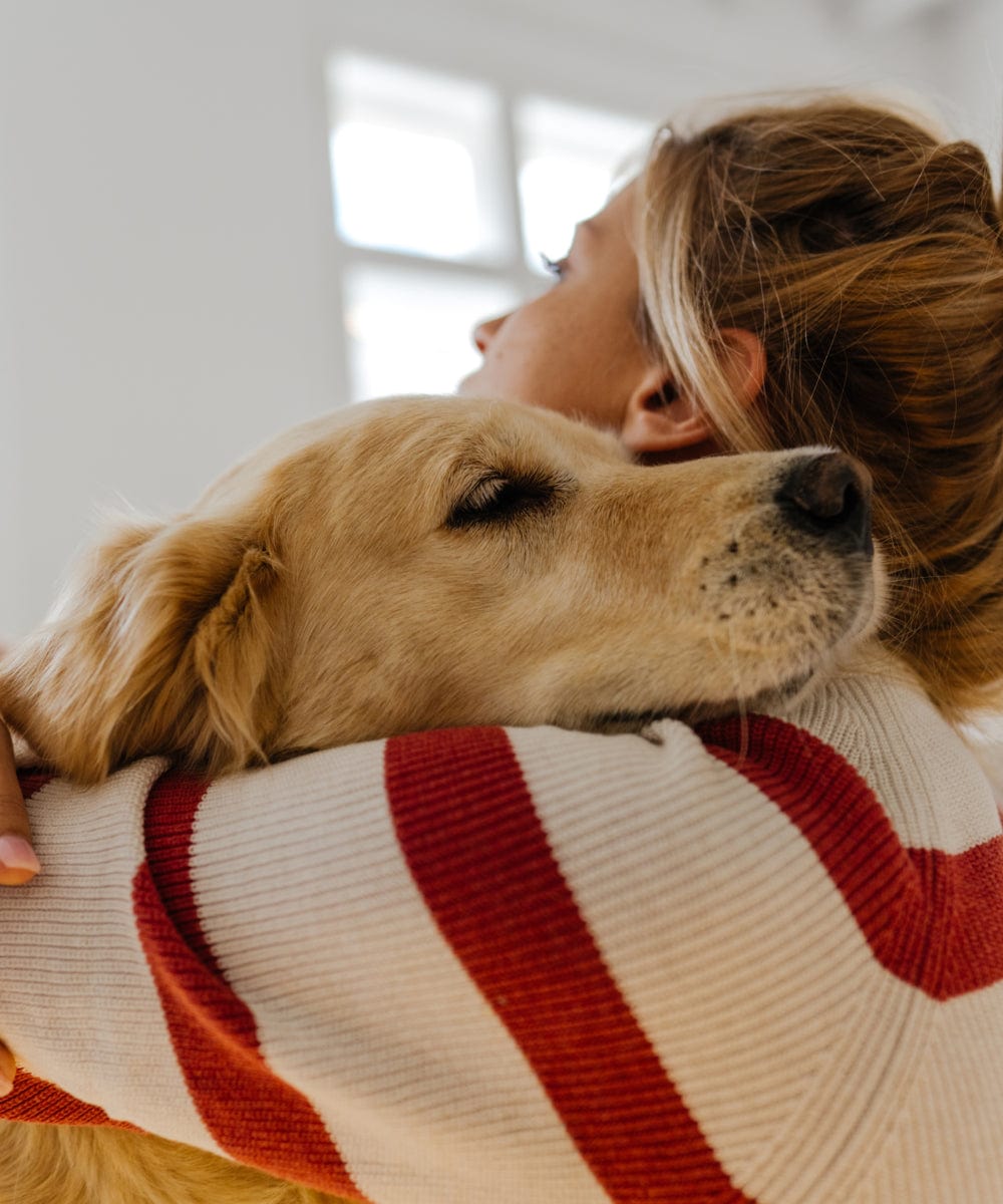 A girl hugging a golden retriever dog