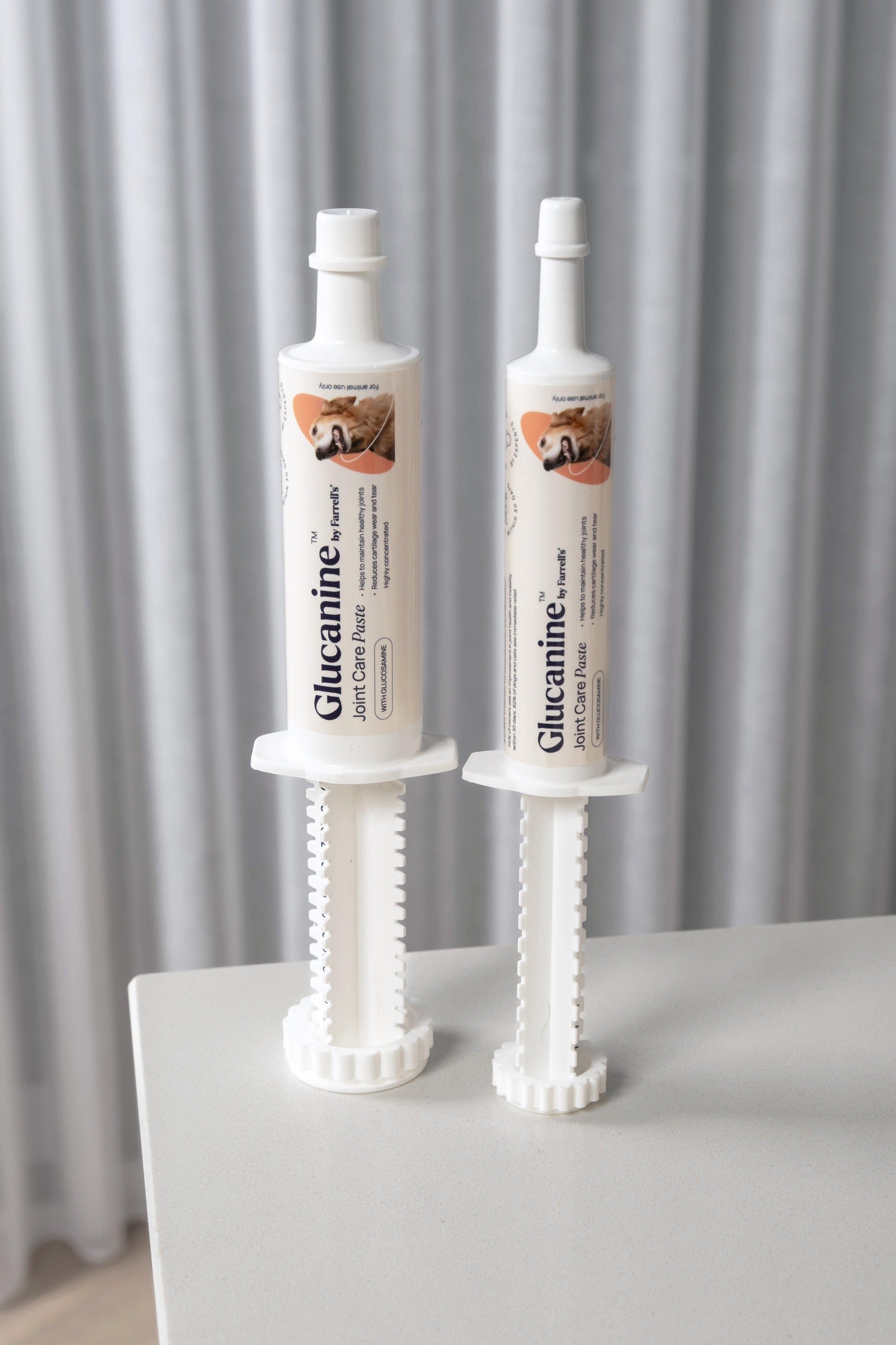 Glucanine Joint Care Paste for Dogs