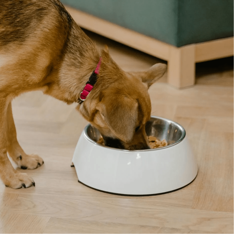 Glucanine Dog Joint Care Powder 350g