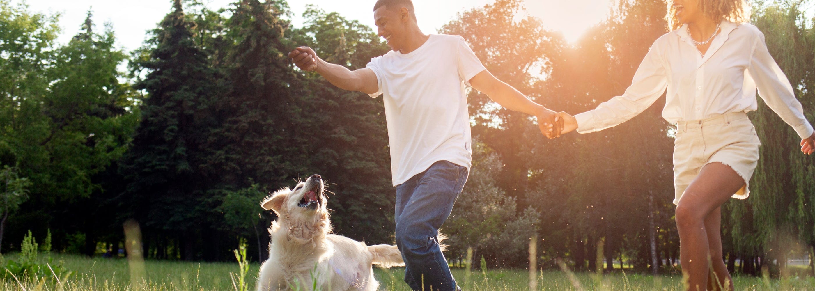 A couple playing with a golden retriever dog in a park
