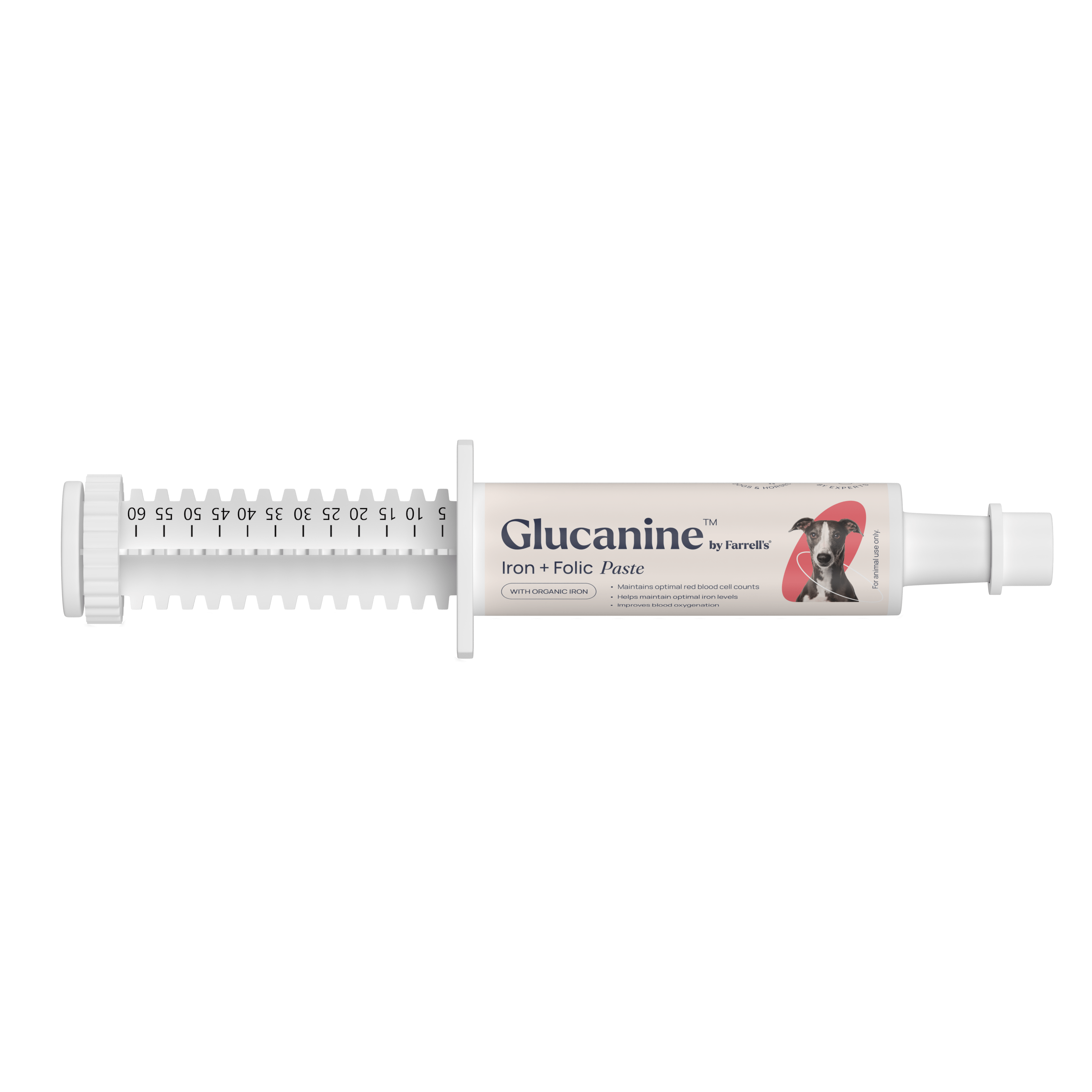 Glucanine Iron + Folic Paste for Dogs