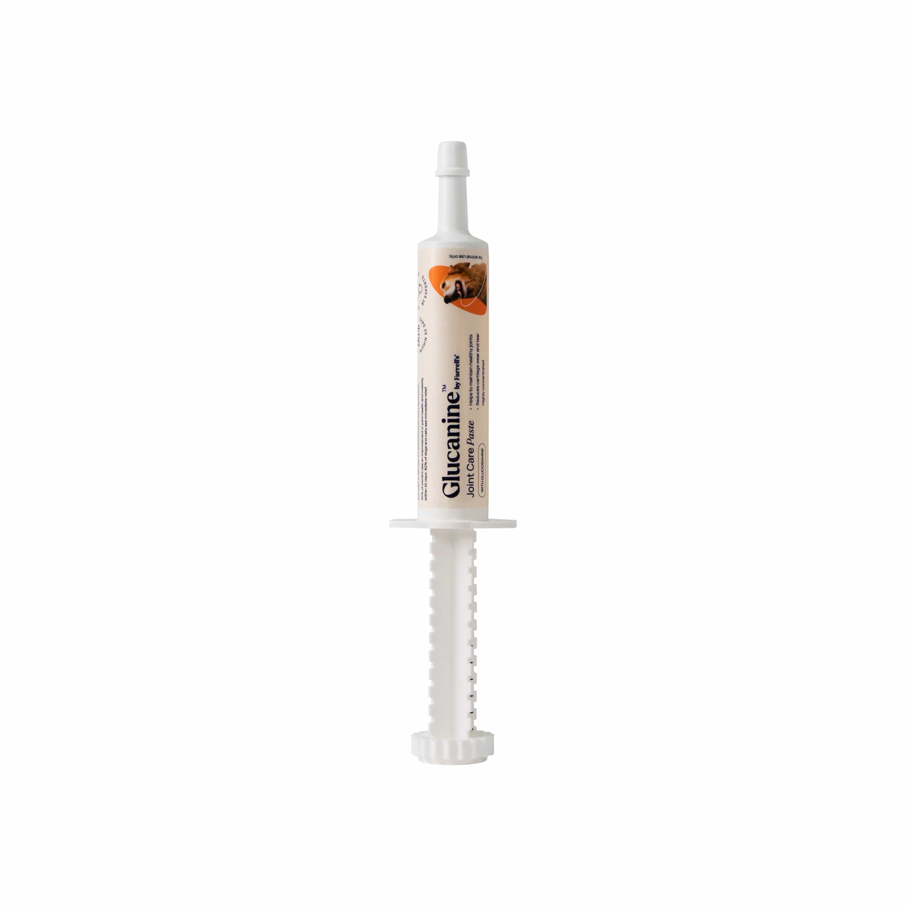 Glucanine Joint Care Paste for Dogs