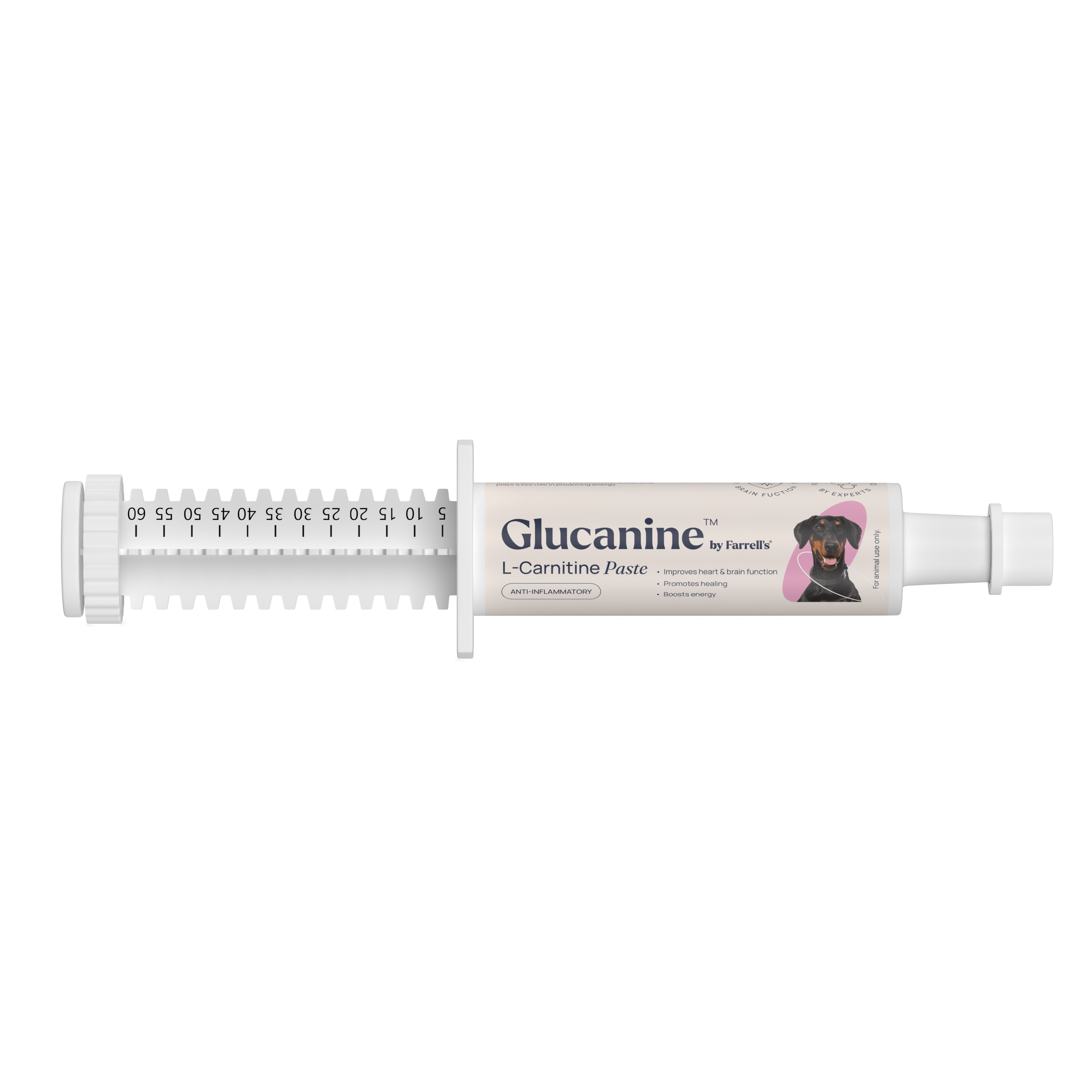 Glucanine Dog L-Carnitine Paste